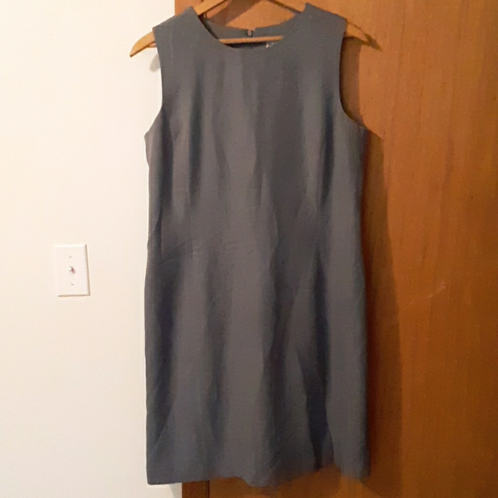 Dress Barn shift dress